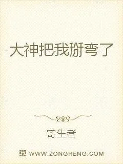 《大神把我掰弯了》小说封面