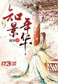 《知景年华》小说封面