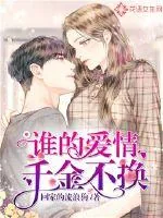 《谁的爱情千金不换》小说封面