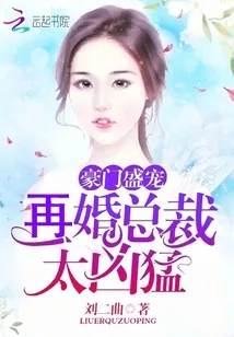 《豪门盛宠：再婚总裁，太凶猛！》小说封面
