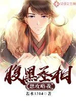 《腹黑丞相想攻略我？！》小说封面