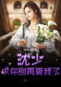 《沈少，求你别再爱我了》小说封面