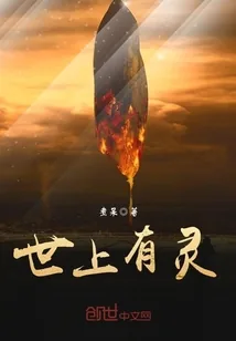 《世上有灵》小说封面