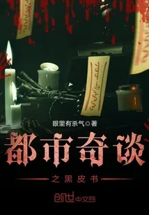 《都市奇谈之黑皮书》小说封面