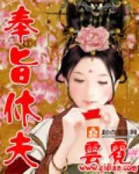 《奉旨休夫》小说封面