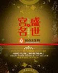 《盛世宫名》小说封面