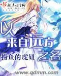 《以来自远方之名》小说封面