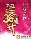 《驭夫36计》小说封面