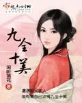 《九全十美》小说封面