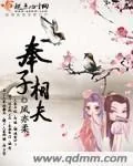 《奉子相夫》小说封面