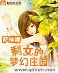 《剩女的梦幻庄园》小说封面