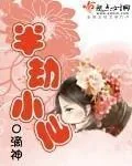 《半劫小仙》小说封面
