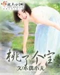 《桃了个宝》小说封面