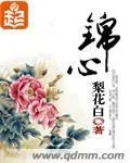 《锦心》小说封面