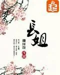 《长姐》小说封面