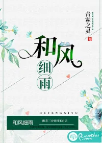 《和风细雨》小说封面