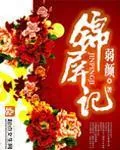 《锦屏记》小说封面