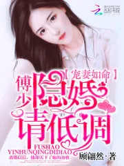 《隐婚请低调》小说封面