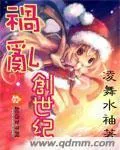 《祸乱创世纪》小说封面