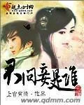《君问妾是谁》小说封面