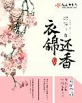 《医锦还乡》小说封面