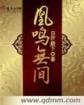 《凰鸣无间》小说封面