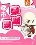 《都市呆萌录》小说封面