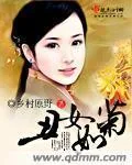 《丑女如菊》小说封面