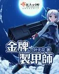 《金牌制甲师》小说封面