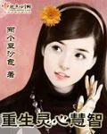 《重生灵心慧智》小说封面