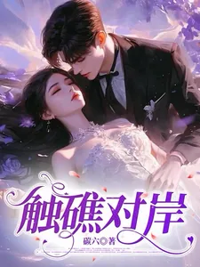 《触礁对岸》小说封面
