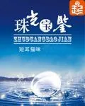 《珠光宝鉴》小说封面