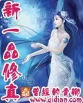 《新一品修真》小说封面