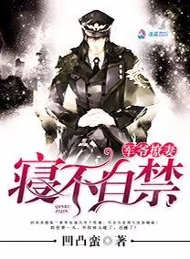 《军爷撩妻之情不自禁》小说封面