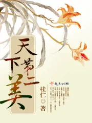 《天下第二美》小说封面
