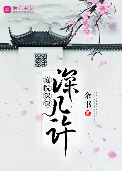 《庭院深深深几许》小说封面