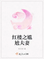 《红楼之尴尬夫妻》小说封面