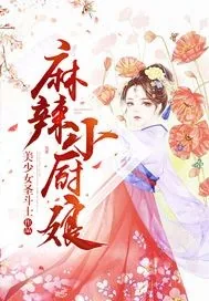 《麻辣小厨娘》小说封面