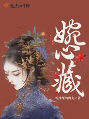 《婉心藏》小说封面