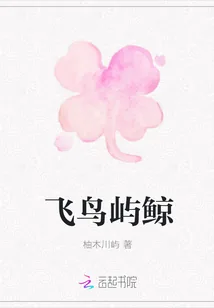 《飞鸟屿鲸》小说封面