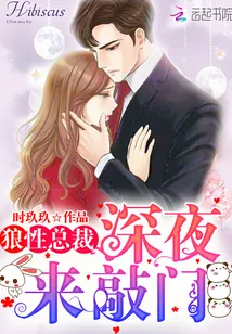 《狼性总裁,深夜来敲门》小说封面
