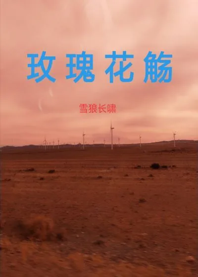 《玫瑰花觞》小说封面