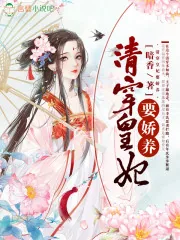 《清穿皇妃要娇养》小说封面