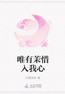 《唯有茉惜入我心》小说封面
