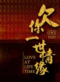 《江山风雨情之雍正与年妃》小说封面