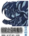 《妖尾之召唤魔导士》小说封面
