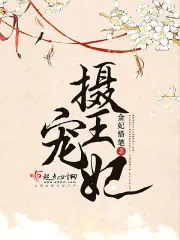 《摄宠王妃》小说封面