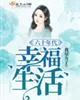 《六十年代幸福生活》小说封面