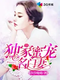 《独家蜜宠名门妻》小说封面