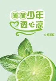 《薄荷少年透心凉》小说封面